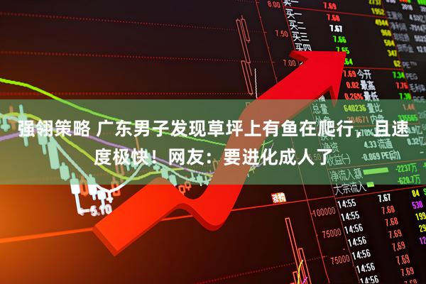 强翎策略 广东男子发现草坪上有鱼在爬行，且速度极快！网友：要进化成人了