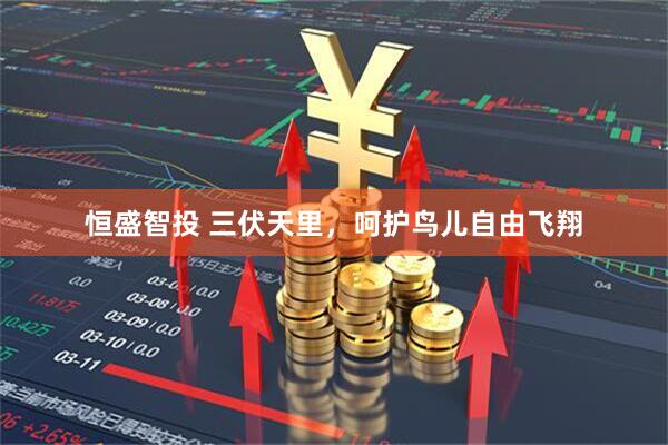 恒盛智投 三伏天里，呵护鸟儿自由飞翔
