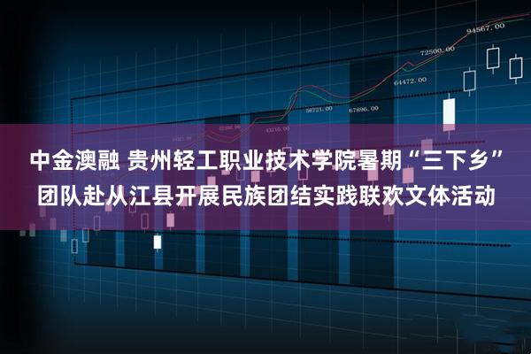 中金澳融 贵州轻工职业技术学院暑期“三下乡”团队赴从江县开展民族团结实践联欢文体活动