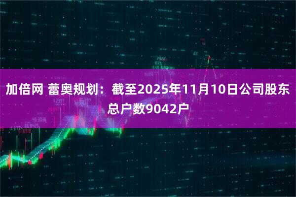 加倍网 蕾奥规划：截至2025年11月10日公司股东总户数9042户