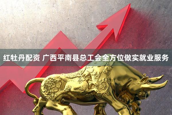 红牡丹配资 广西平南县总工会全方位做实就业服务